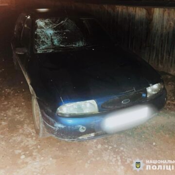 На Коломийщині нетверезий водій збив велосипедиста На Коломийщині нетверезий водій збив велосипедиста