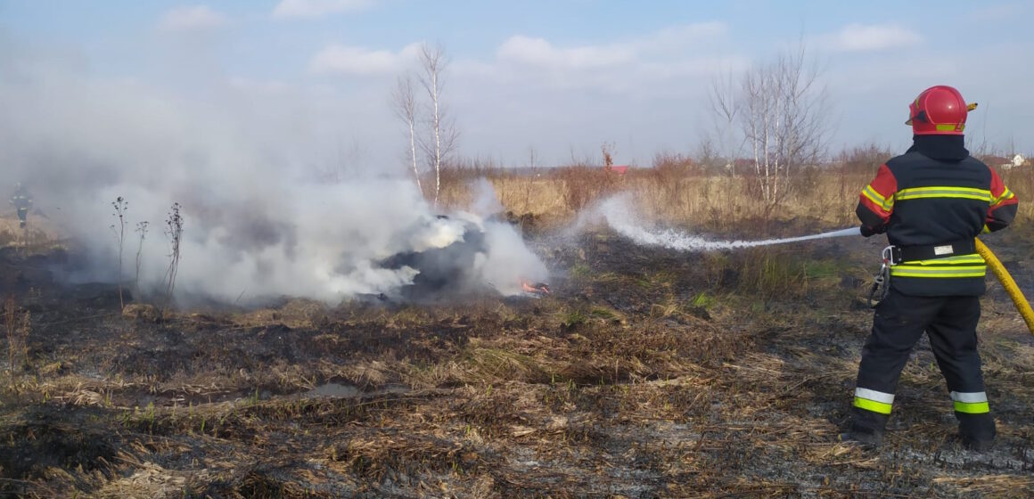 Прикарпаття у вогні: за добу рятувальникам довелось ліквідували більше двадцяти пожеж в екосистемах