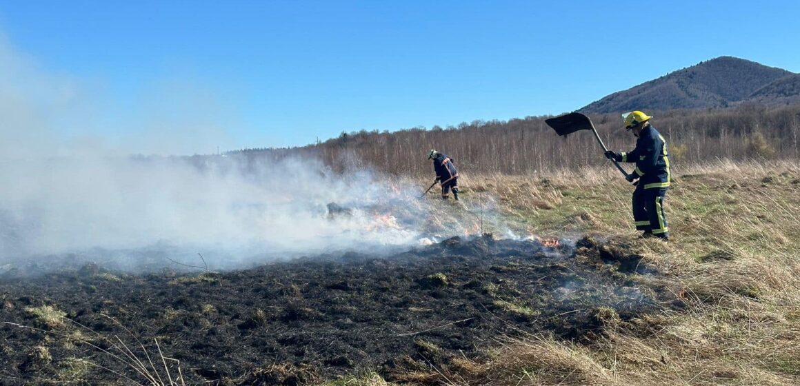 Вигоріло близько 2 га полів та городів: за день прикарпатці спровокували 22 пожежі в екосистемах