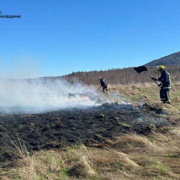 Вигоріло близько 2 га полів та городів: за день прикарпатці спровокували 22 пожежі в екосистемах