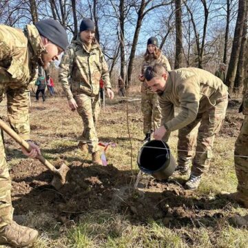 Нові молоденькі деревця висадили на Алеї Добровольців у Коломиї