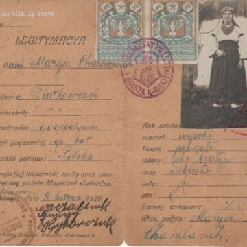 Яким був паспорт сто років тому