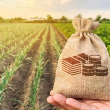 «Батьківщина» вимагає запровадити мораторій на розпродаж землі до кінця війни – відповідний законопроєкт уже в парламенті