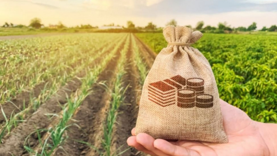 «Батьківщина» вимагає запровадити мораторій на розпродаж землі до кінця війни – відповідний законопроєкт уже в парламенті «Батьківщина» вимагає запровадити мораторій на розпродаж землі до кінця війни – відповідний законопроєкт уже в парламенті