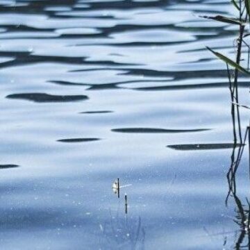 На Калущині з річки дістали тіло потопельника