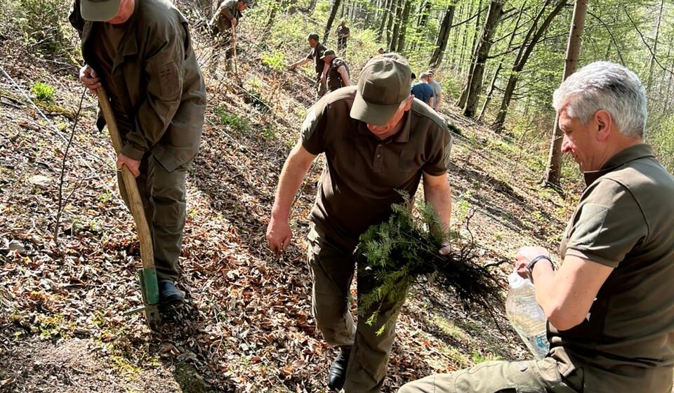 Для відновлення Карпат: у Шешорах висадили пів тисячі дерев (ФОТО)