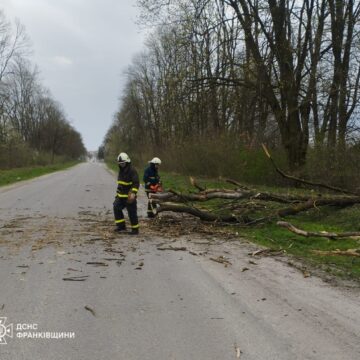 Прикарпатські рятувальники ліквідовують наслідки буревію (ФОТО)