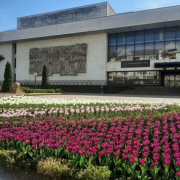 В Івано-Франківську знову розцвітають тюльпани (ФОТО)