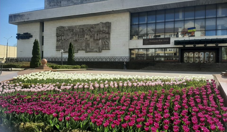 В Івано-Франківську знову розцвітають тюльпани (ФОТО)
