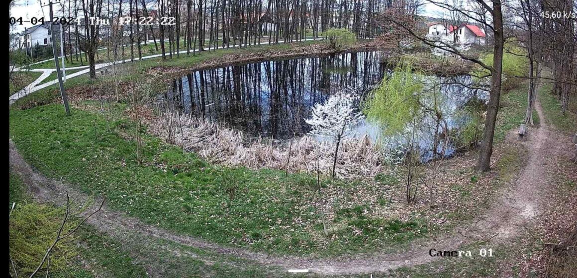 «Стежитимуть» за порушниками: у Богородчанах у парку встановили камери спостереження (ФОТО)
