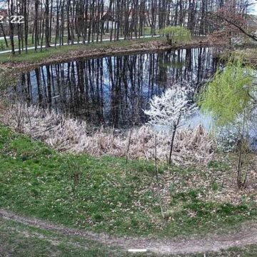 «Стежитимуть» за порушниками: у Богородчанах у парку встановили камери спостереження (ФОТО)