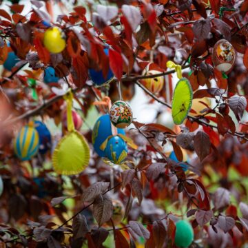 В Івано-Франківську дерева прикрасили великодніми писанками (ФОТО)