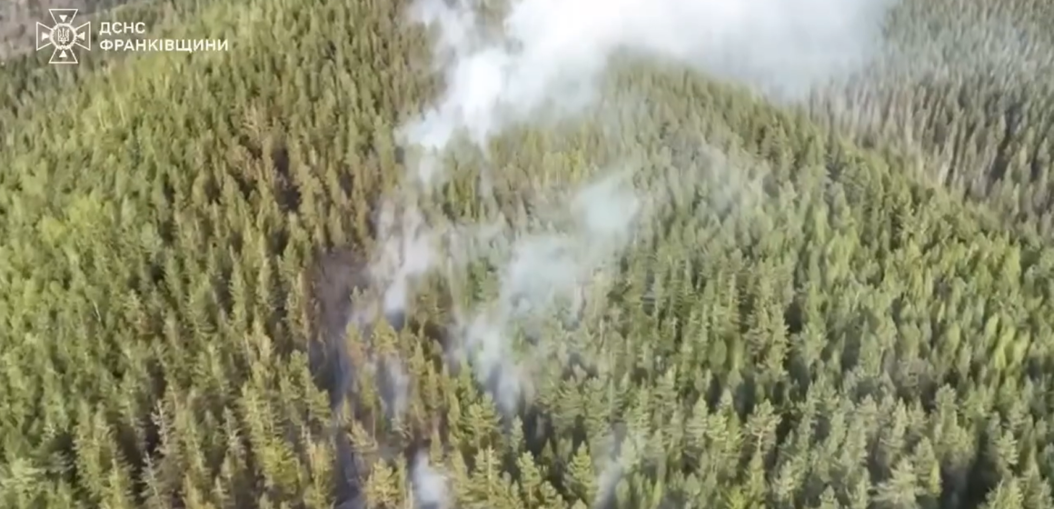 В Микуличині згоріло пів гектара лісу (ВІДЕО)
