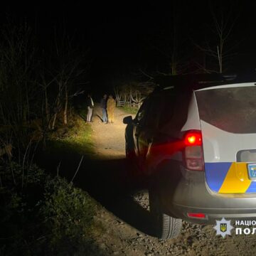 У ДТП на Косівщині постраждала неповнолітня: поліцейські Прикарпаття оперативно затримали водія
