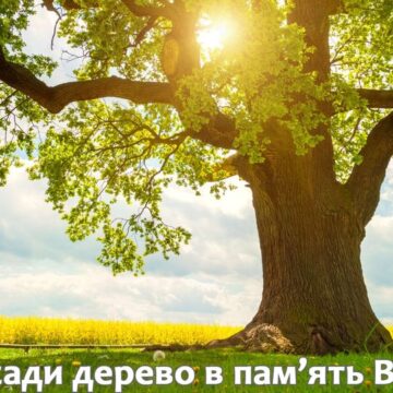У Івано-Франківській громаді стартує акція “Посади дерево в пам’ять Воїна”