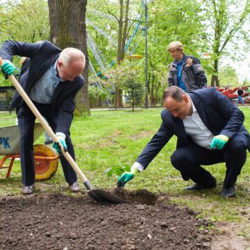 У Івано-Франківську посадили дуб солідарності і підтримки