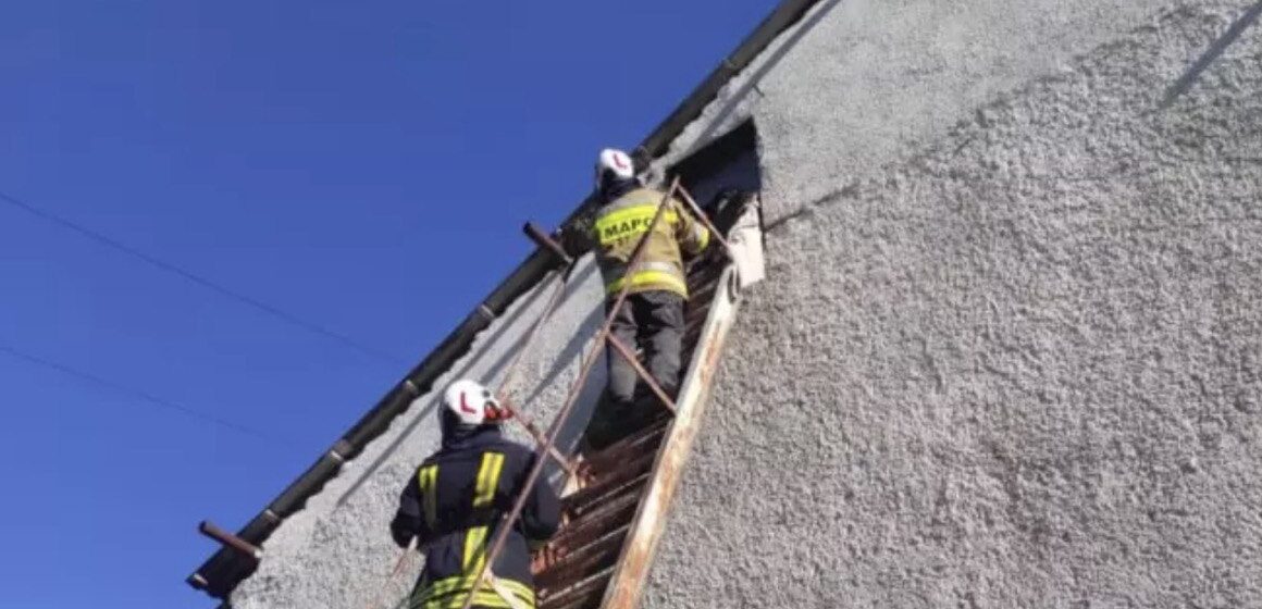 Був виснажений і голодний: франківські МАРСіани надали допомогу чотирилапому “альпіністу” (ФОТОФАКТ)