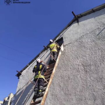 Був виснажений і голодний: франківські МАРСіани надали допомогу чотирилапому “альпіністу” (ФОТОФАКТ)