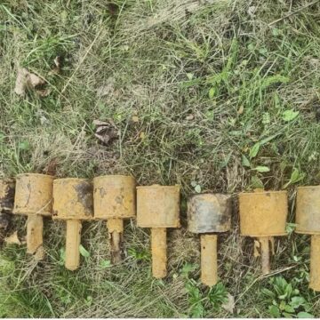 Піротехніки Прикарпаття знешкодили 8 застарілих боєприпасів ІІ Світової війни