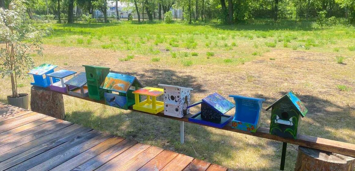 Учениця Боднарівського ліцею презентувала творчий проєкт у французькому мистецькому центрі