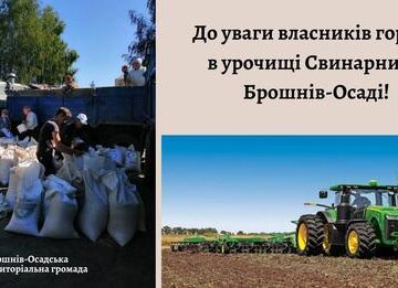 Жителі Брошнів-Осади, які мають городи в урочищі Свинарник, зможуть передати їх у користування