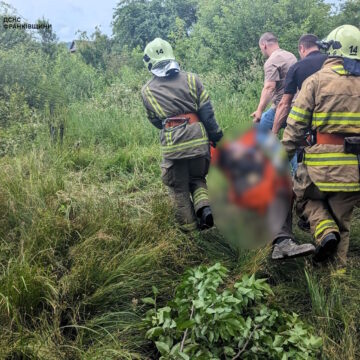На Косівщині дерево на смерть придавило чоловіка (ФОТО)