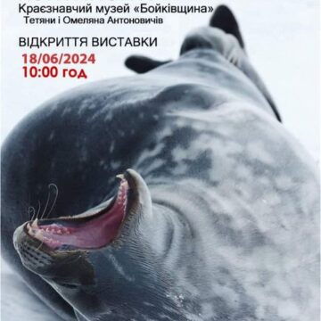 “Кольори білого континенту”: у Долині відкриють благодійну фотовиставку учасника Української антарктичної експедиції Сергія Глотова
