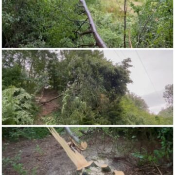 Мешканець Косівщини, якого придавило дерево, намагався зрізати його в охоронній зоні Мешканець Косівщини, якого придавило дерево, намагався зрізати його в охоронній зоні