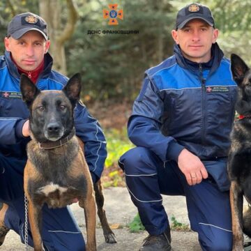 Пошуково-рятувальні собаки з Прикарпаття пройшли щорічну атестацію