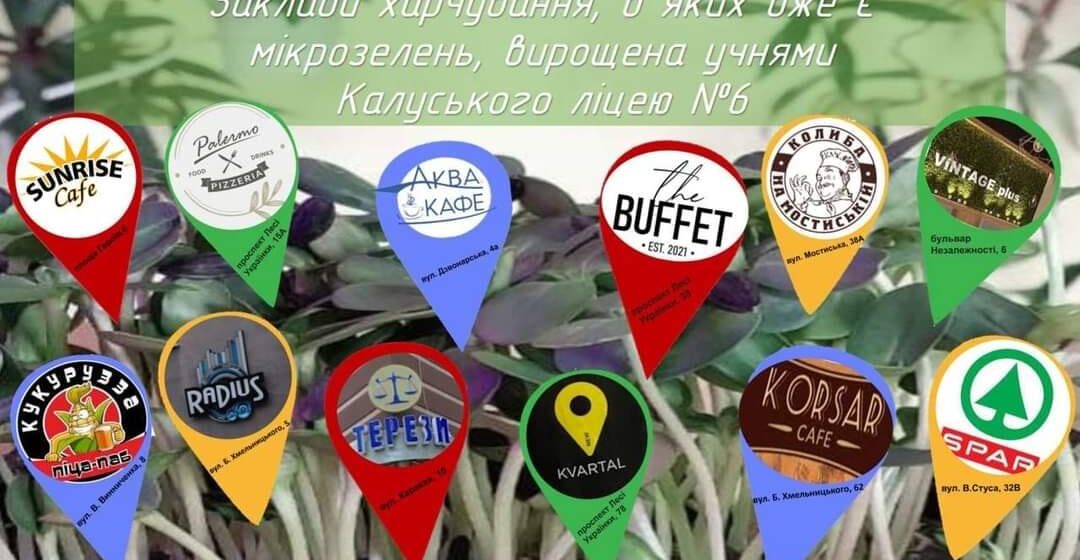 Мікрозелень, яку вирощують калуські школярі, можна скуштувати в стравах місцевих кафе та ресторанів
