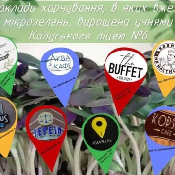 Мікрозелень, яку вирощують калуські школярі, можна скуштувати в стравах місцевих кафе та ресторанів