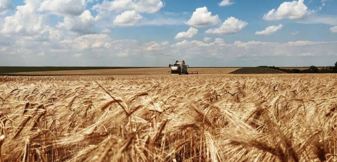 На Прикарпатті завершують збирання зернобобових культур