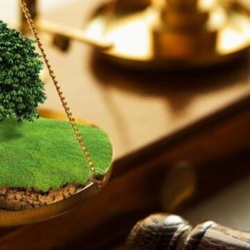На Надвірнянщині повернули у державну власність землю вартістю 3,9 млн гривень