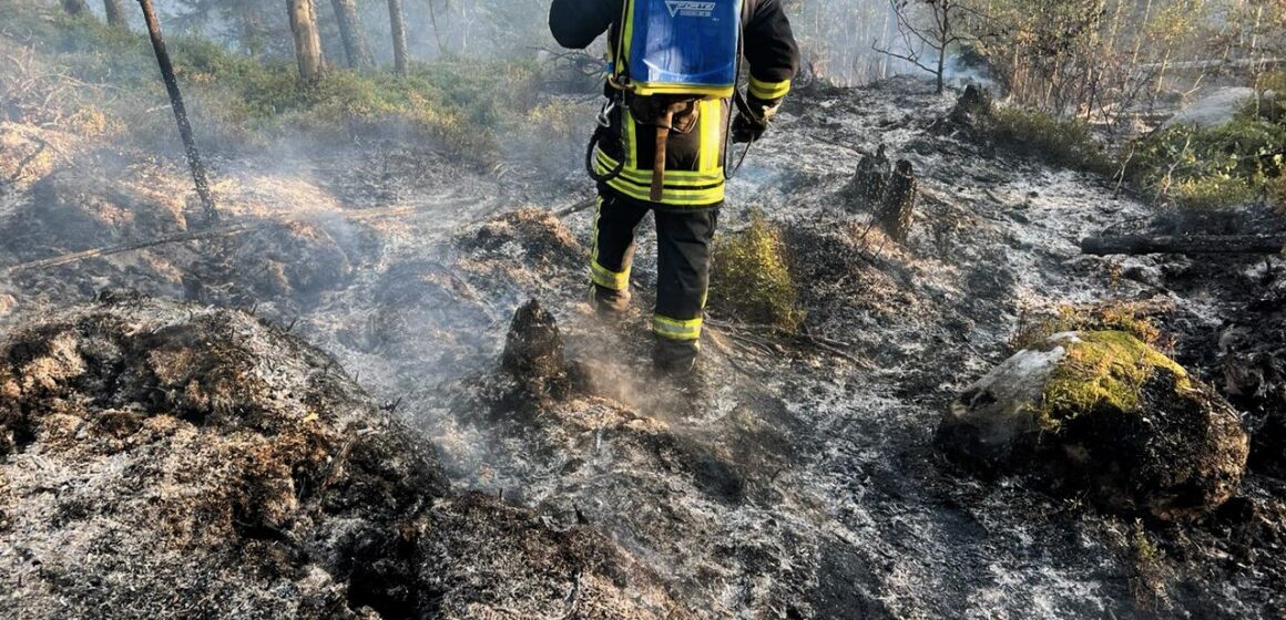 На Косівщині вогнеборці понад дві години гасили лісову пожежу (ФОТО)