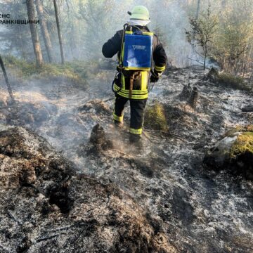 На Косівщині вогнеборці понад дві години гасили лісову пожежу (ФОТО)