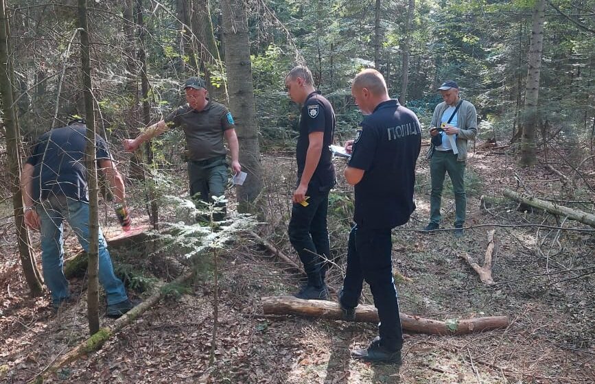 Завдали довкіллю збитків на понад 1,6 млн грн: на Івано-Франківщині виявили незаконну рубку дерев (ФОТО)