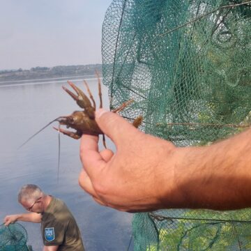 На Бурштинському водосховищі вилучено браконьєрські раколовки