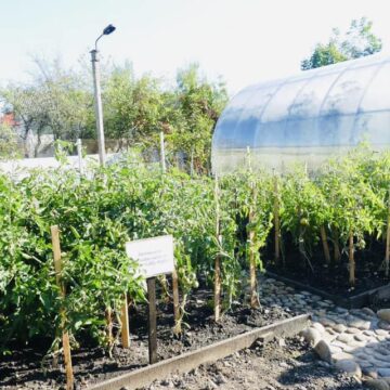 У Калуській громаді вишукують можливості для відновлення виробництва калійних добрив
