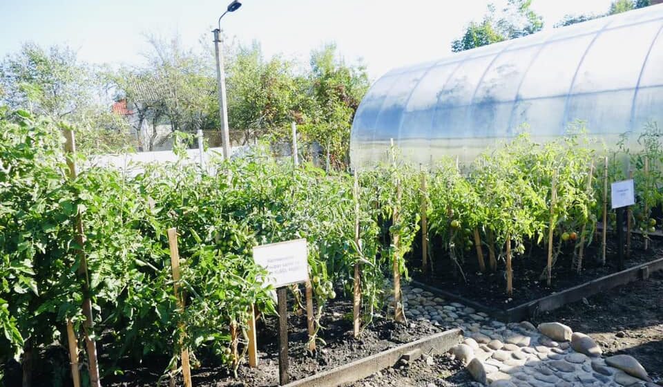 У Калуській громаді вишукують можливості для відновлення виробництва калійних добрив