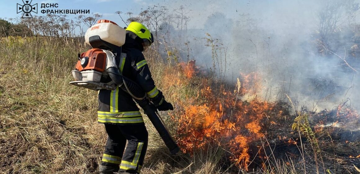 В Загвізді три години гасили пожежу сухої трави