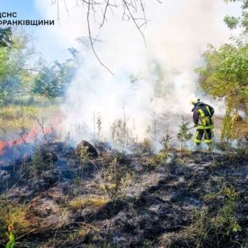 Протягом минулої доби на Прикарпатті вогнеборці ліквідували 21 пожежу на відкритих територіях, на загальній площі близько 1,1 га