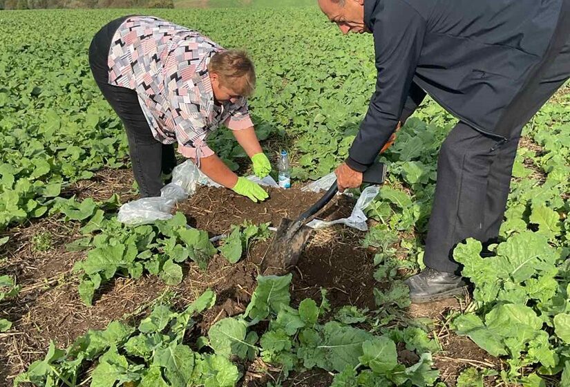 В ґрунтах Калуського та Снятинського районів виявили найбільше шкідників