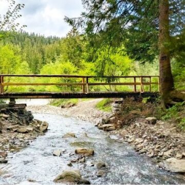 У Ворохті відремонтують міст через струмочок, що веде до вузькоколійного віадука У Ворохті відремонтують міст через струмочок, що веде до вузькоколійного віадука