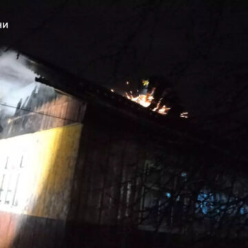 Рятувальники ліквідували дві пожежі в селищі Лисець