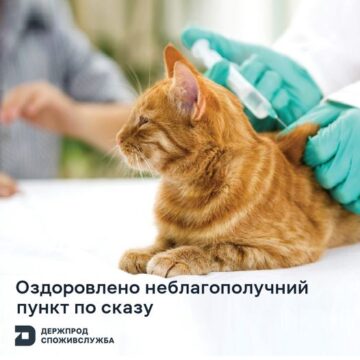 На Богородчанщині оздоровили неблагополучний щодо сказу населений пункт