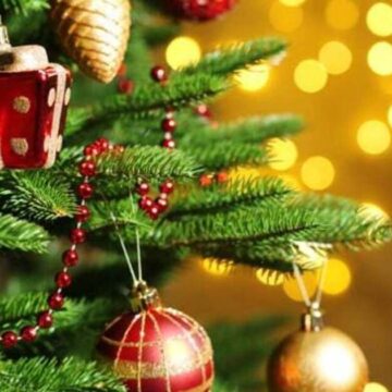 Сьогодні в Івано-Франківську відкриють новорічну ялинку Сьогодні в Івано-Франківську відкриють новорічну ялинку