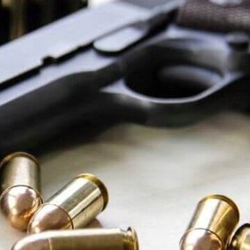 За місяць прикарпатці задекларували 43 одиниці зброї та близько сотні набоїв
