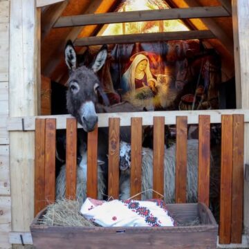 У Калуші всіх охочих запрошують колядувати біля живої шопки