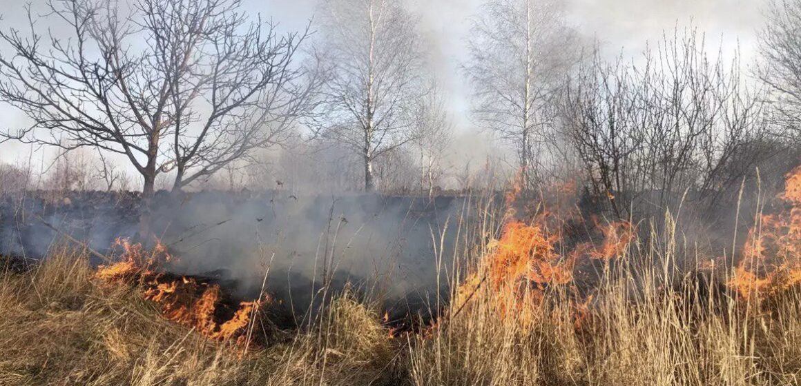 На Долинщині місцеві жителі самостійно загасили пожежу сухої трави (ФОТО)