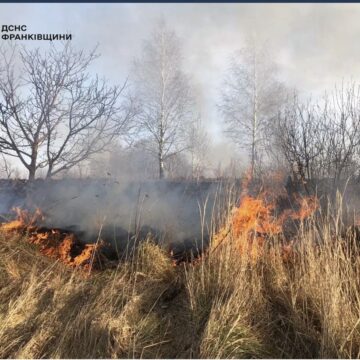 На Долинщині місцеві жителі самостійно загасили пожежу сухої трави (ФОТО)